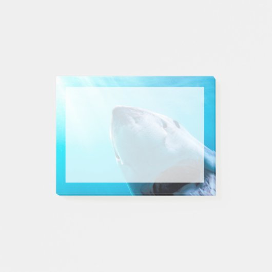 ホホジロザメ | 南アフリカ ポストイット (正面)