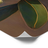 ホホホバ花アートプリントポスター ポスター (角)