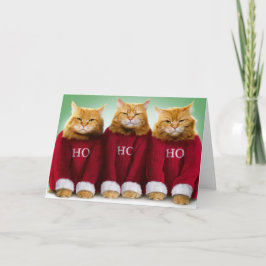 ホホホ3匹の猫メリークリスマスグリーティングカード カード