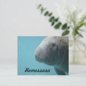 ホモササ春 ポストカード (スタンド正面)