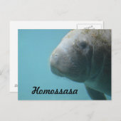 ホモササ春 ポストカード (正面/裏面)