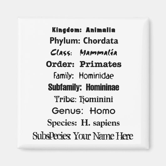 ホモ・サピエン マグネット (正面)