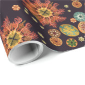 ホヤのリミックス包装紙 ラッピングペーパー (ロールコーナー)
