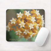 ホヤのaffのvitellinaのマウスパッド マウスパッド (マウス)