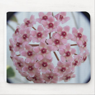 ホヤのcarnosaの三色のマウスパッド マウスパッド