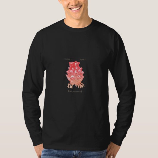ホヤシーリス Tシャツ (正面)