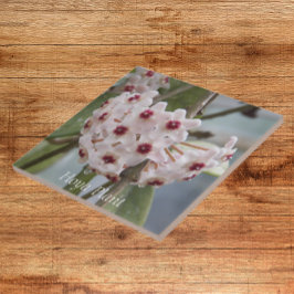 ホヤプラントフラワーズフローラ タイル