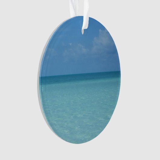 ホライズンカリブのトロピカルターコイズブルー オーナメント (正面)