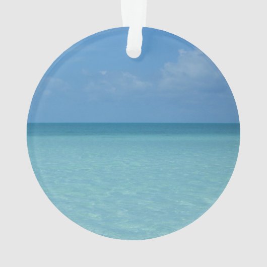 ホライズンカリブのトロピカルターコイズブルー オーナメント (裏面)
