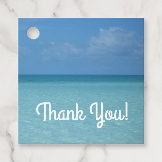 ホライズンカリブのトロピカルターコイズブルー フェイバータグ (正面)