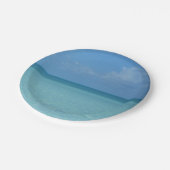 ホライズンカリブのトロピカルターコイズブルー ペーパープレート (アングル)