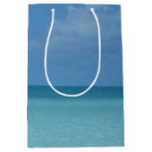 ホライズンカリブのトロピカルターコイズブルー ミディアムペーパーバッグ (正面)