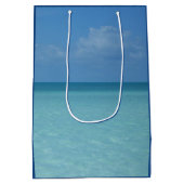 ホライズンカリブのトロピカルターコイズブルー ミディアムペーパーバッグ (裏面)