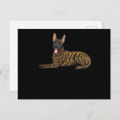 ホランデハーダーソンドオランダシェパードドッグ ポストカード (正面/裏面)