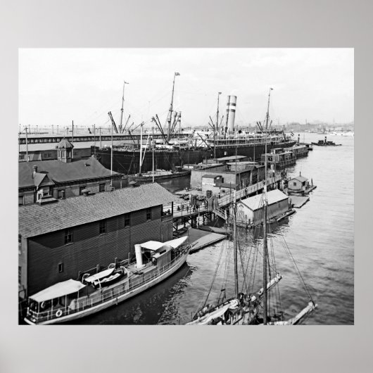 ホランドアメリカ線 ポスター (正面)