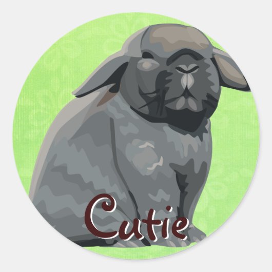 ホランドロップスティッカー ラウンドシール (正面)