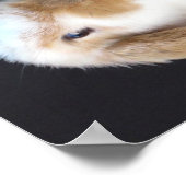 ホランドロッププレゼントバニーポスター ポスター (角)