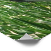 ホランドロップポスター ポスター (角)