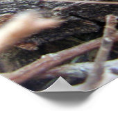 ホランドロップポスター ポスター (角)