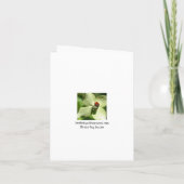 ホラーゴブリン墓石ハローウィンパーティ招待状 招待状 (裏面)