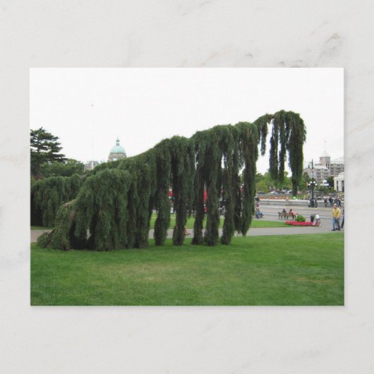 ホラー映画から拒絶する？ ポストカード (正面)