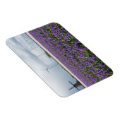 ホラ伝統的ンドモダンマグネットの風車 マグネット (右側)