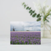 ホラ伝統的ンモダンダハガキ ポストカード (スタンド正面)