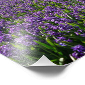 ホラ伝統的ンモダンプリントの風車 フォトプリント            (角)