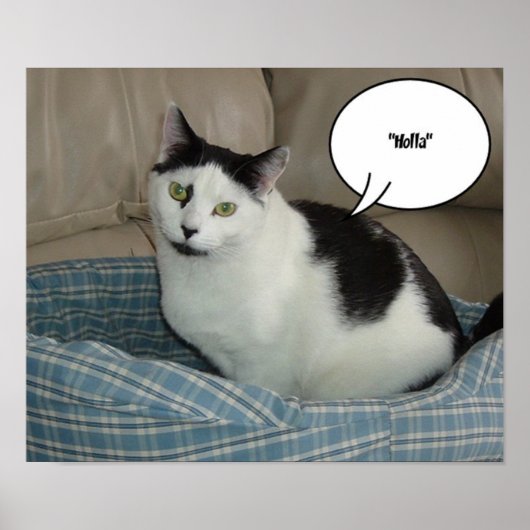 ホラ！/こんにちは ポスター (正面)