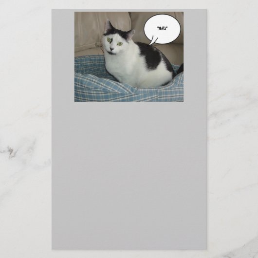 ホラ・キャット・ユーモア 便箋 (正面)