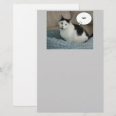 ホラ・キャット・ユーモア 便箋 (正面/裏面)