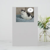 ホラ・キャット・ユーモア 便箋 (スタンド正面)