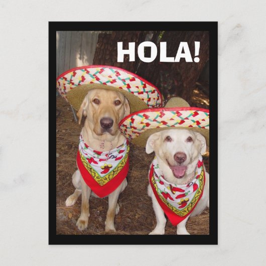 ホラ！ ポストカード (正面)