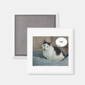 ホラ！ マグネット (正面/裏面)