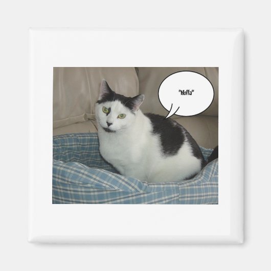 ホラ！ マグネット (正面)