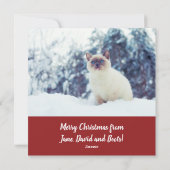 ホリおもしろいデーカード猫好き シーズンカード (裏面)