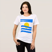 ホリはっきりしたゾン:抽象芸術旗Tシャツ トライブレンドTシャツ (正面全面)