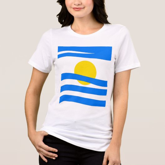 ホリはっきりしたゾン:抽象芸術旗Tシャツ トライブレンドTシャツ (正面)