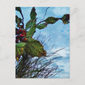 ホリエレガントーのクリスマス、青空 シーズンポストカード (正面)