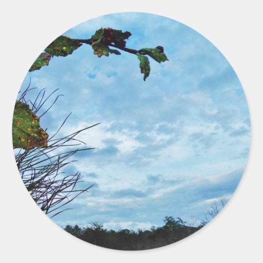 ホリエレガントーのクリスマス、青空 ラウンドシール (正面)