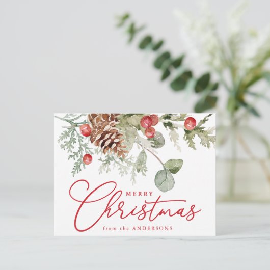 ホリエレガントーの果実と松のコーン非写真 シーズンポストカード (スタンド正面)