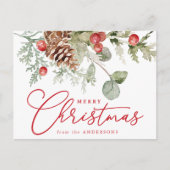 ホリエレガントーの果実と松のコーン非写真 シーズンポストカード (正面)