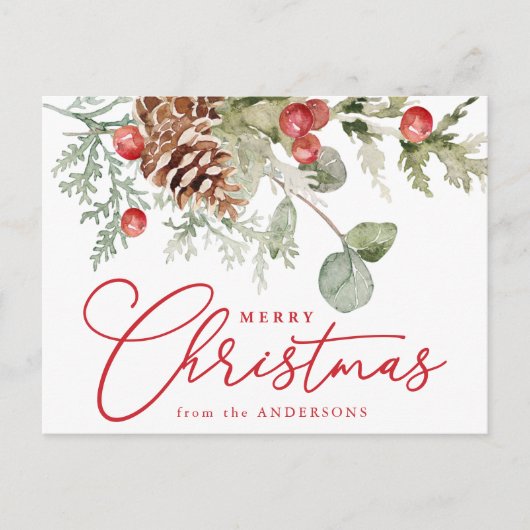 ホリエレガントーの果実と松のコーン非写真 シーズンポストカード (正面)