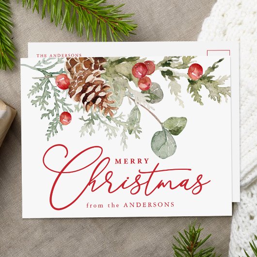 ホリエレガントーの果実と松のコーン非写真 シーズンポストカード