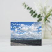 ホリスター、カリフォルニア ポストカード (スタンド正面)
