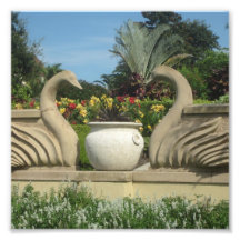 ホリス庭園を守る白鳥の群れ