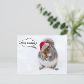 ホリディリス シーズンポストカード (スタンド正面)