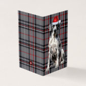 ホリデイグレートダーネレッド&グレープラディクリスマス (外部)