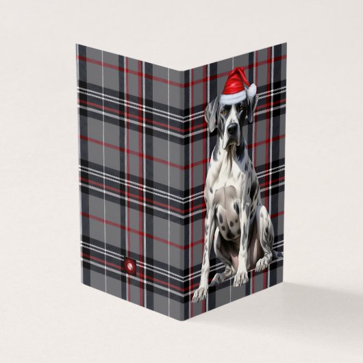 ホリデイグレートダーネレッド&グレープラディクリスマス (外部)