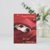 ホリデイチワワ シーズンポストカード (スタンド正面)